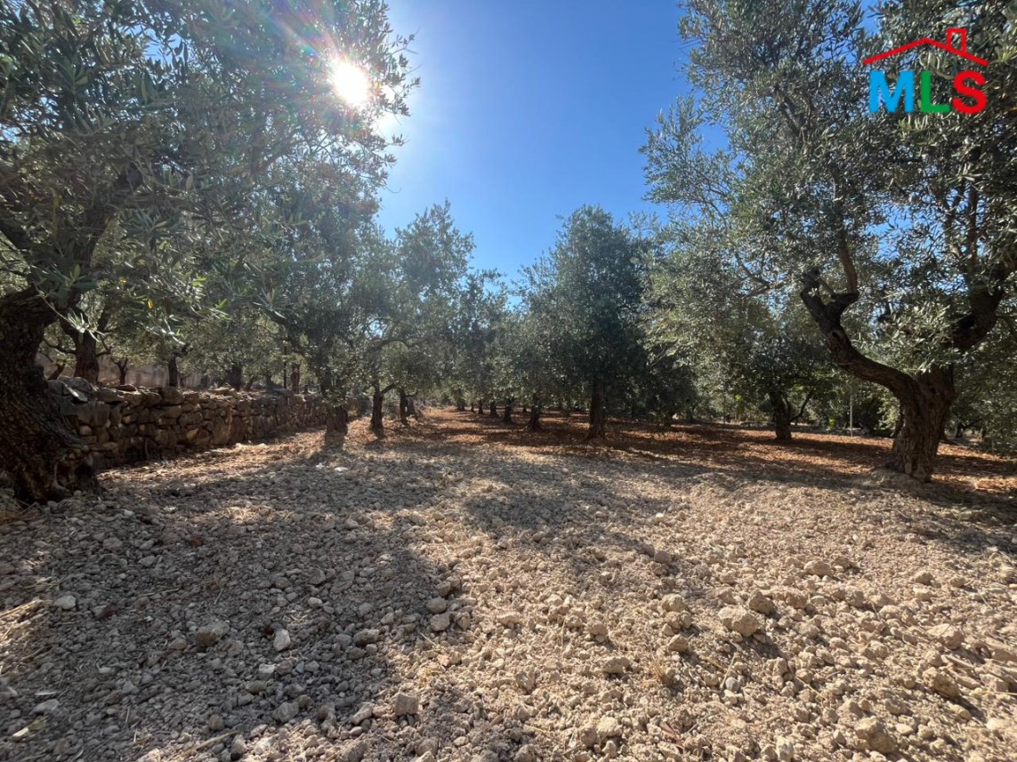 3,000 SQM Land For Sale in Koura