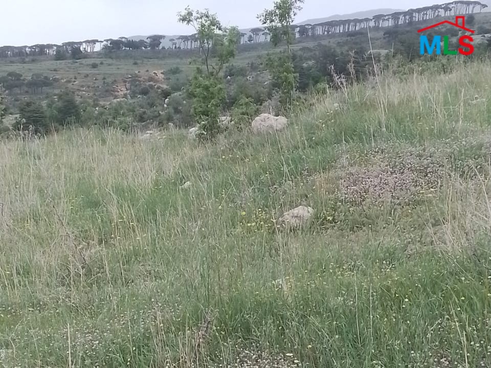5,400 SQM Land with Mountain View For Sale in Bcharre