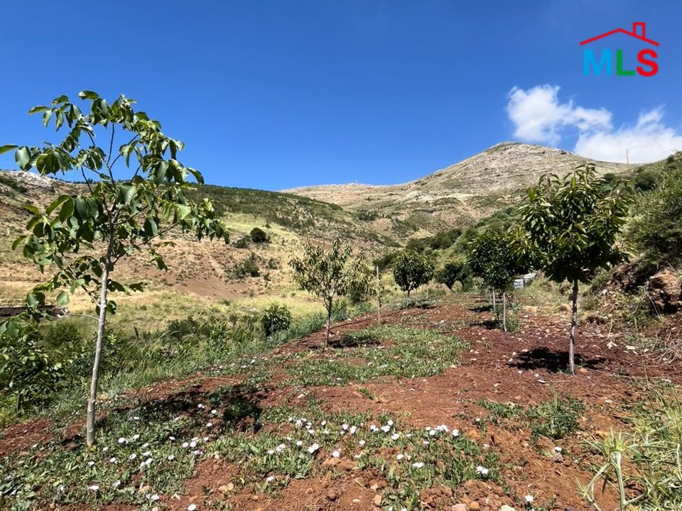 500 SQM Land with Trees & Mountain View For Sale in Tannourine Fawqa