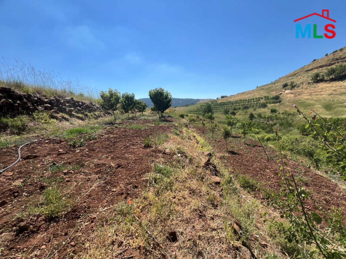 500 SQM Land with Trees & Mountain View For Sale in Tannourine Fawqa