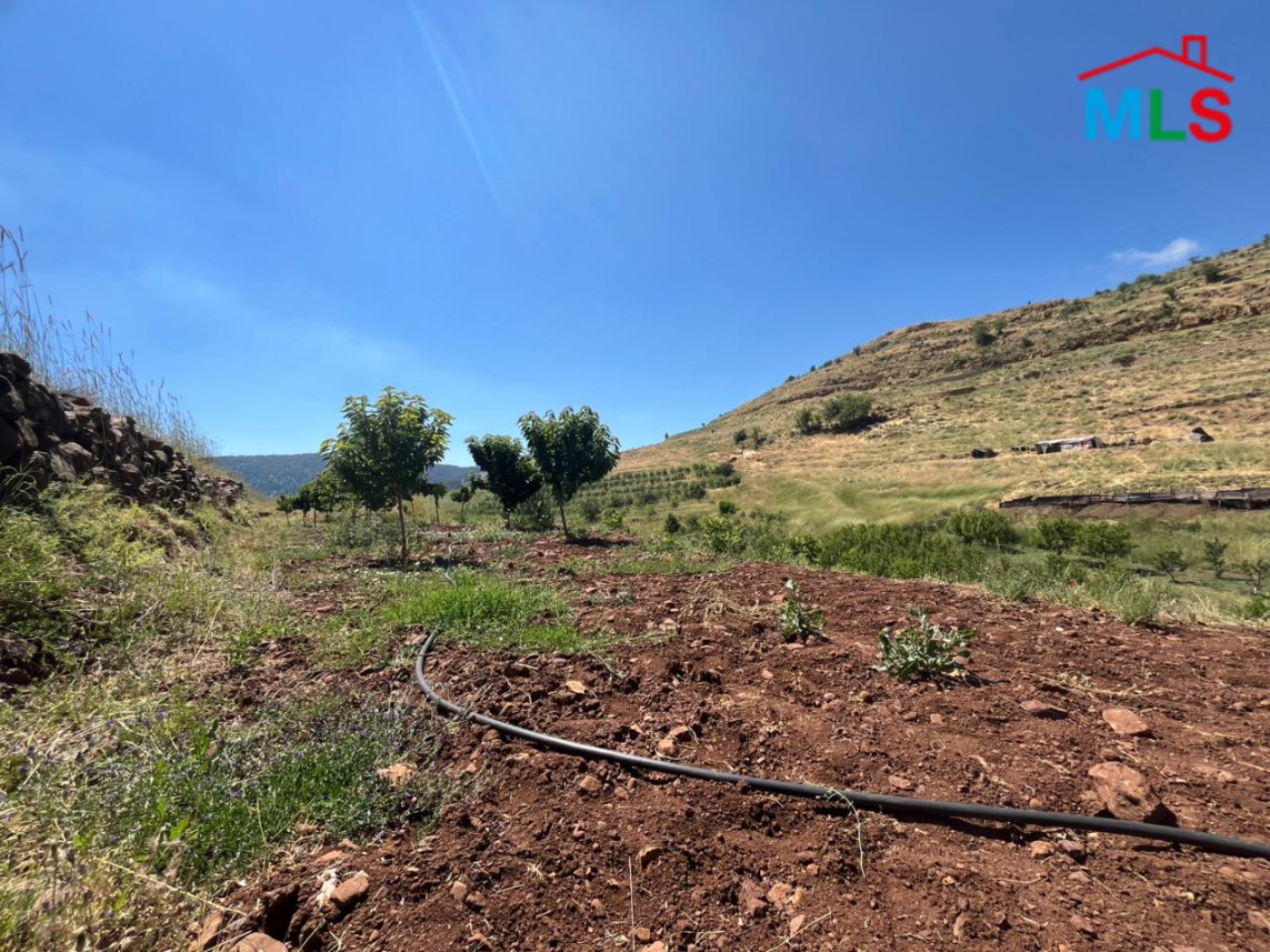 500 SQM Land with Trees & Mountain View For Sale in Tannourine Fawqa
