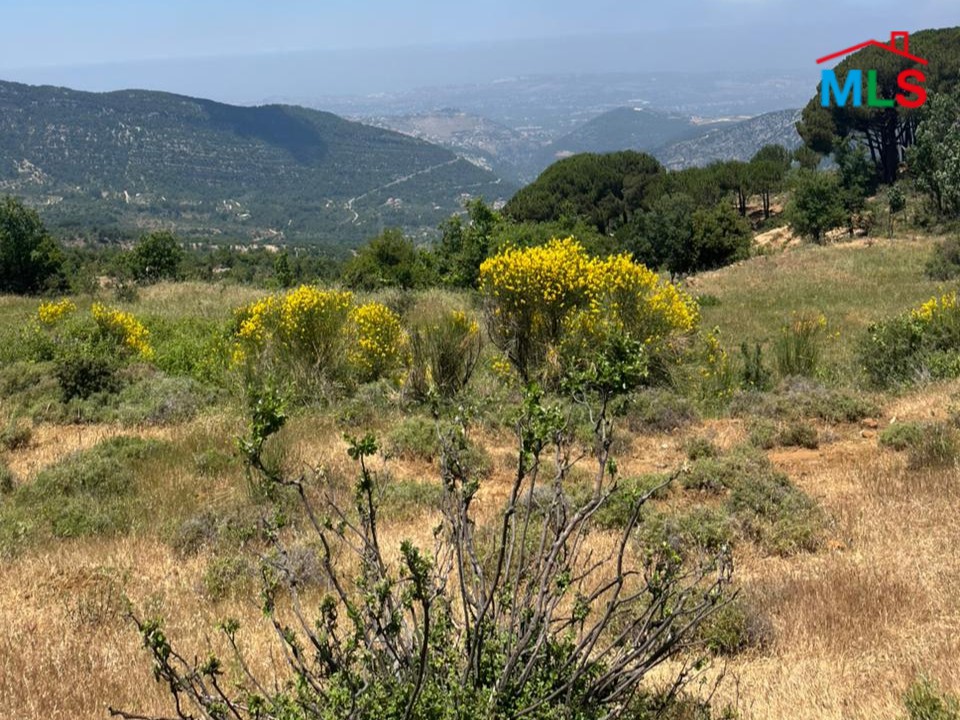 188 SQM Land with Mountain View For Sale in Bcharre