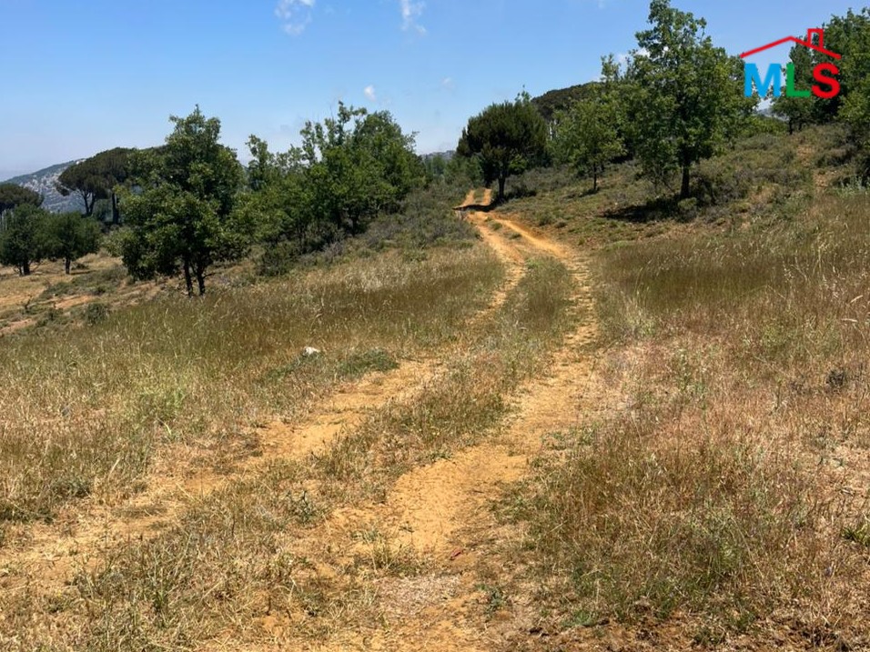 188 SQM Land with Mountain View For Sale in Bcharre