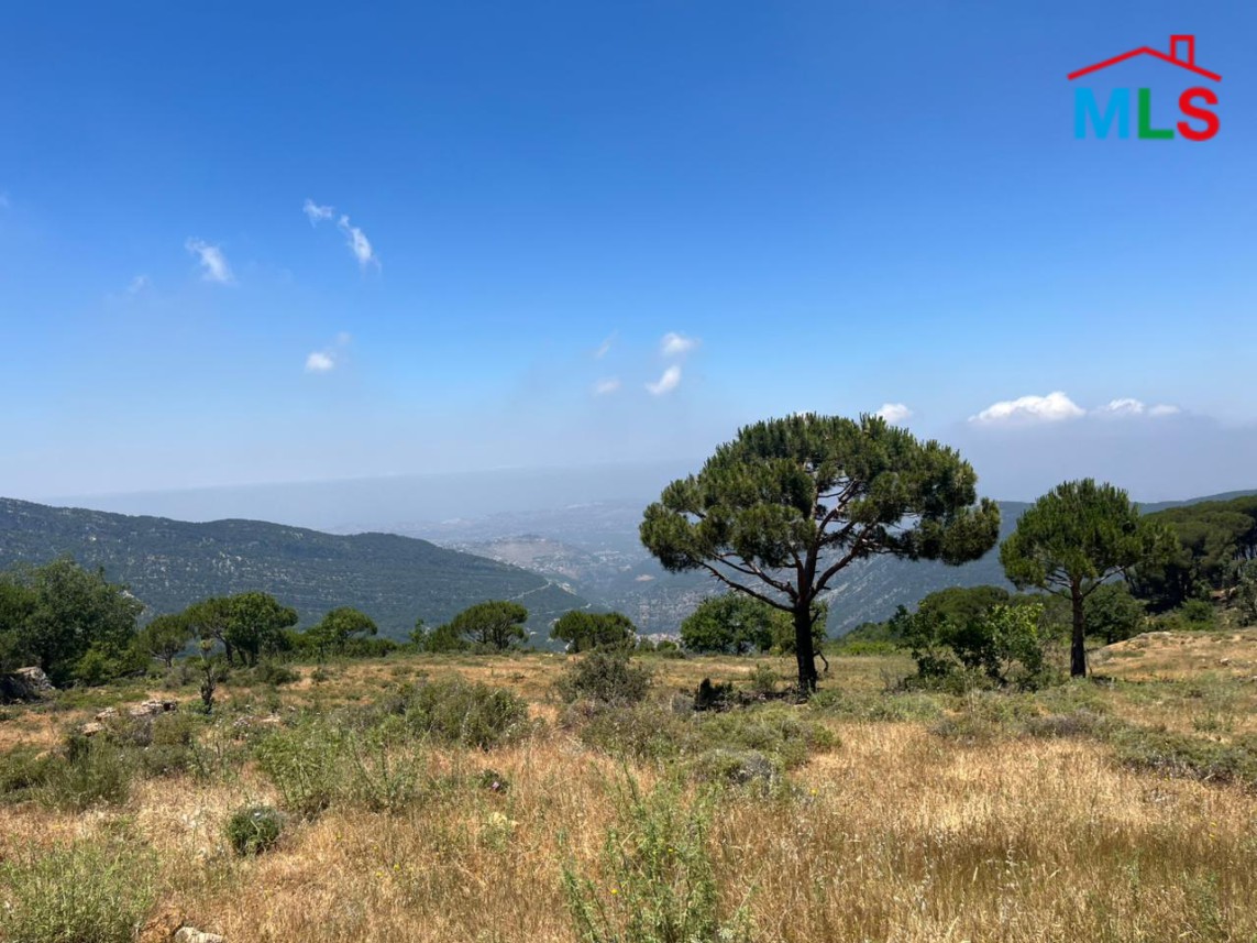 665 SQM Land with Mountain View For Sale in Bcharre
