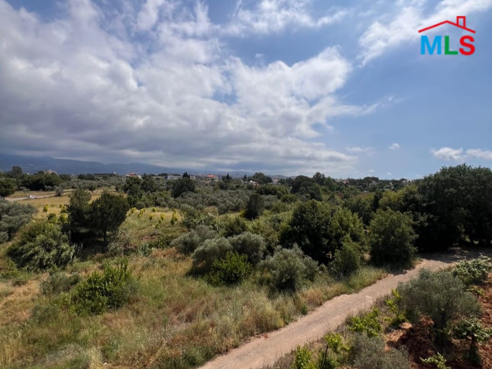 Brand New & Modern Rooftop Apartment For Sale in Koura