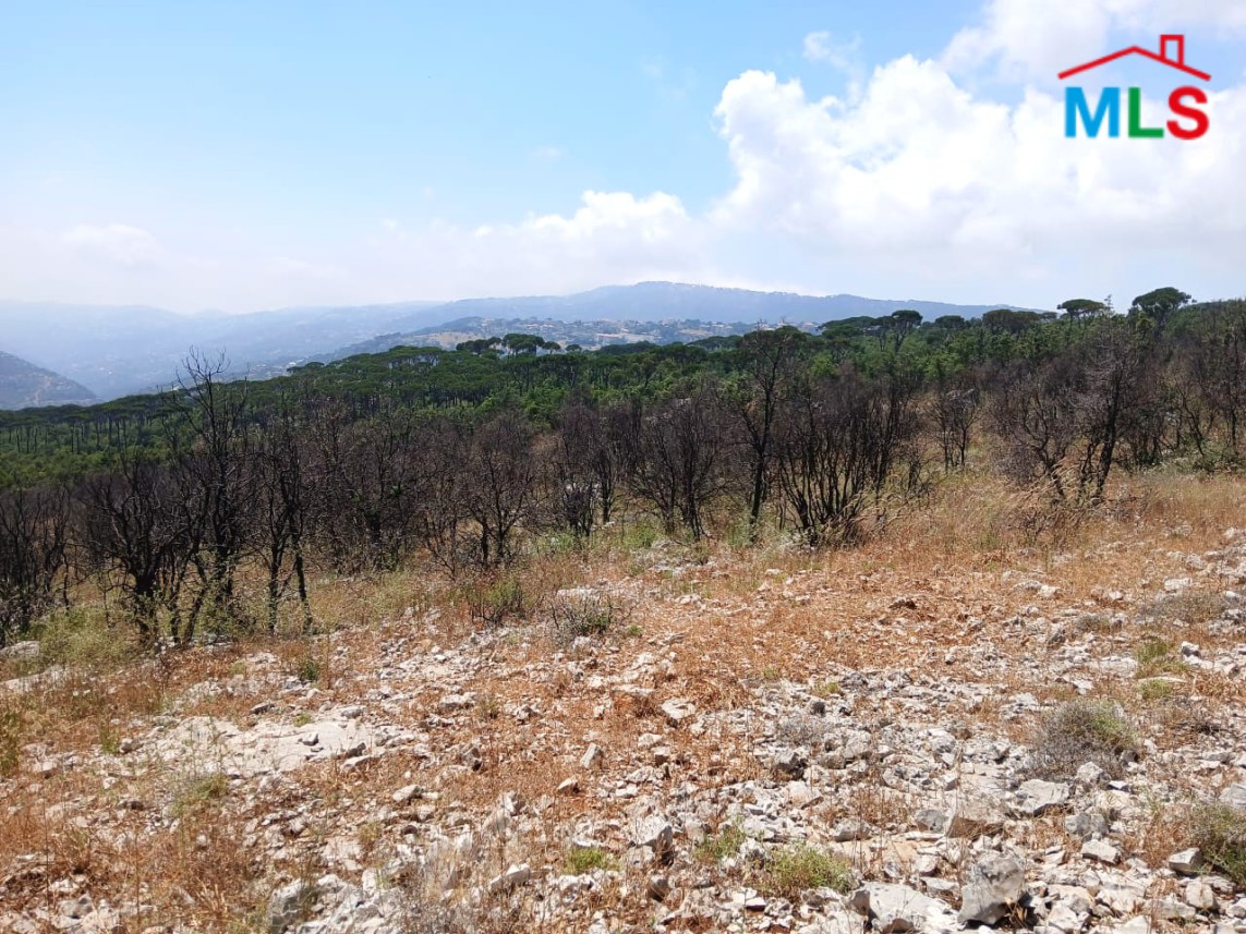 6,500 SQM Land With Mountain View For Sale in Mtein