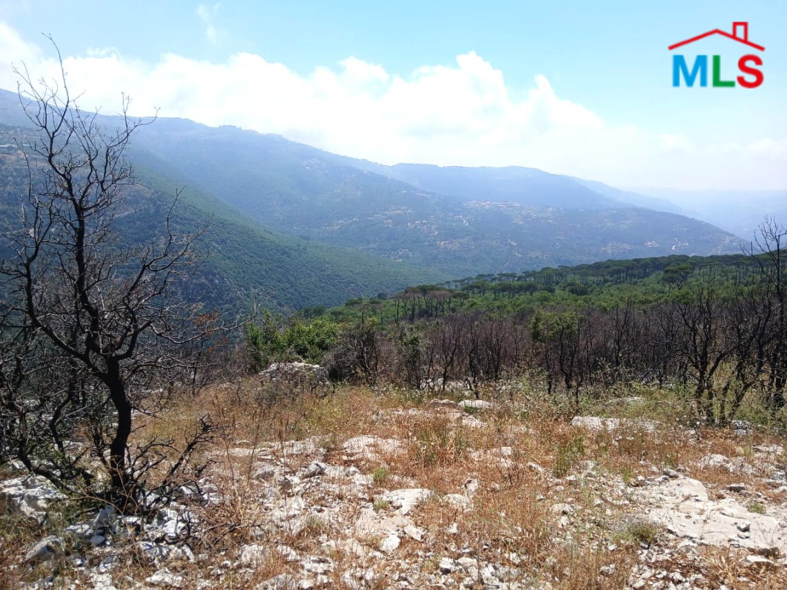 4,500 SQM Land With Mountain View For Sale in Mtein