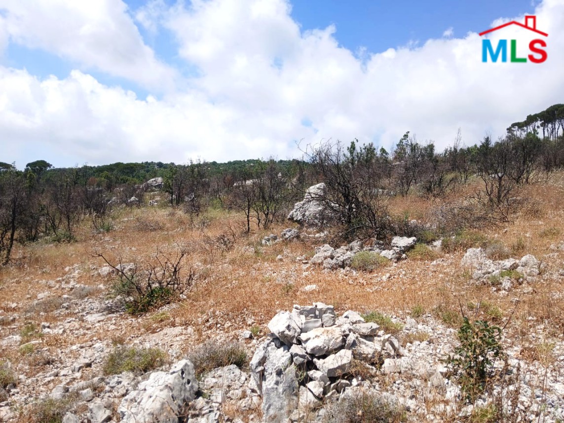 4,500 SQM Land With Mountain View For Sale in Mtein