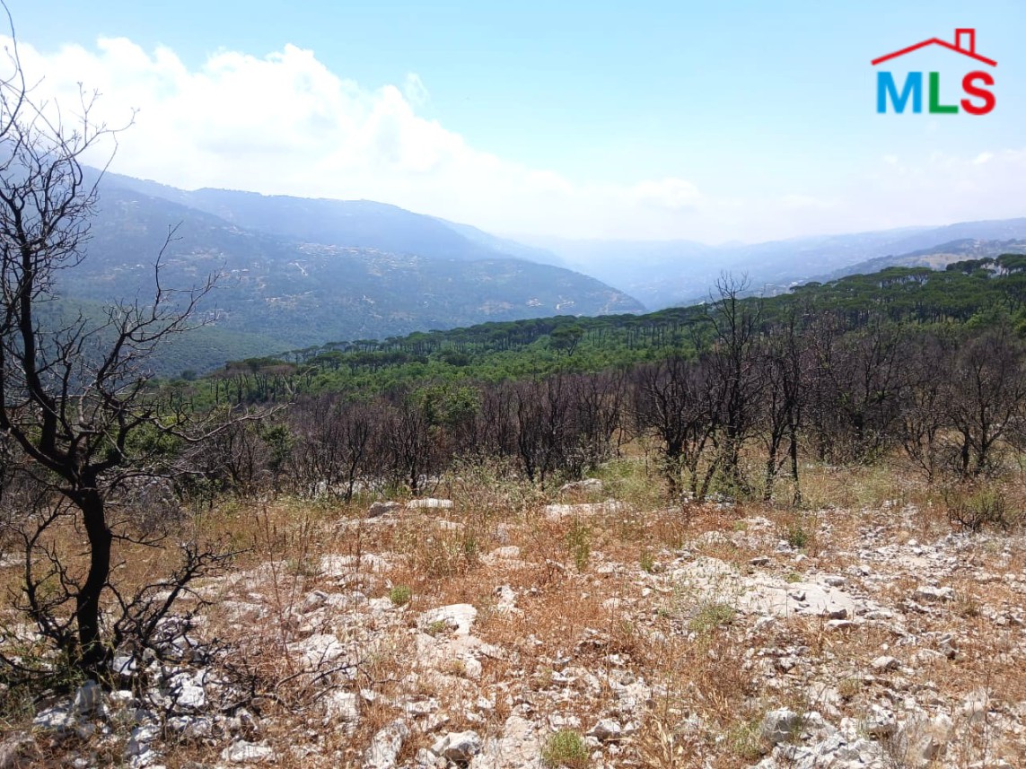 4,500 SQM Land With Mountain View For Sale in Mtein