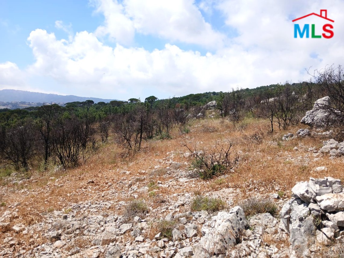 4,500 SQM Land With Mountain View For Sale in Mtein