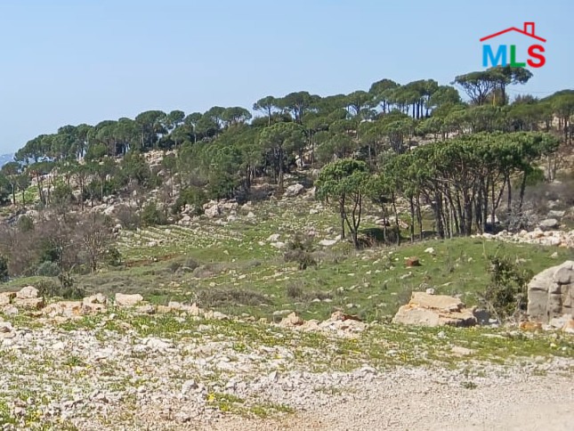 Land 3,200 SQM For Sale in Mtein