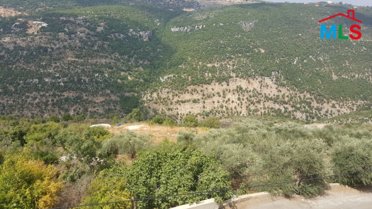 2,335 SQM Land with Mountain View For Sale in Kharbe, Jbeil District