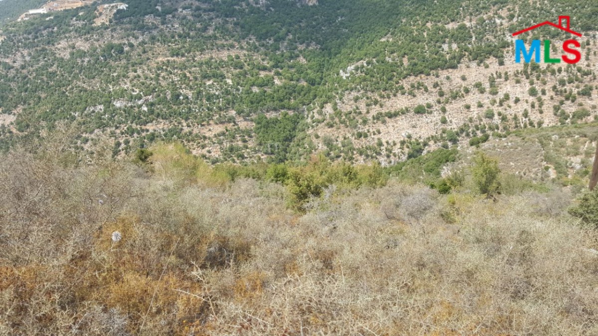 2,335 SQM Land with Mountain View For Sale in Kharbe, Jbeil District