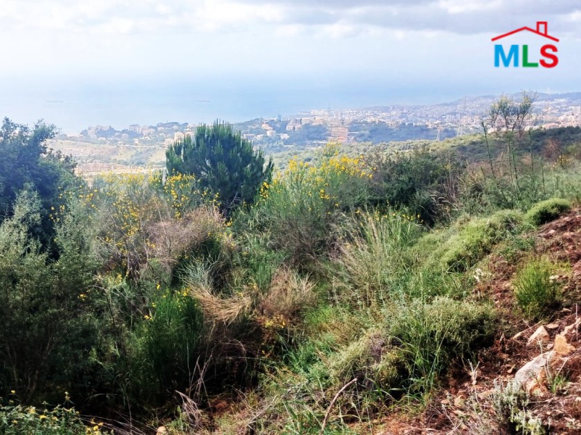 Exclusive! 2,960 SQM Land For Sale in Roumie