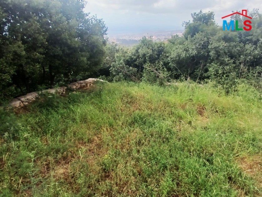 Exclusive! 2,960 SQM Land For Sale in Roumie