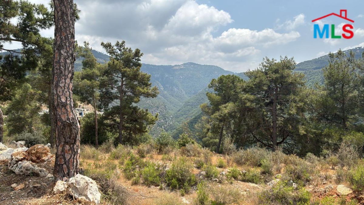 1,525 SQM Land with Mountain View In Beit Meri, Monteverde