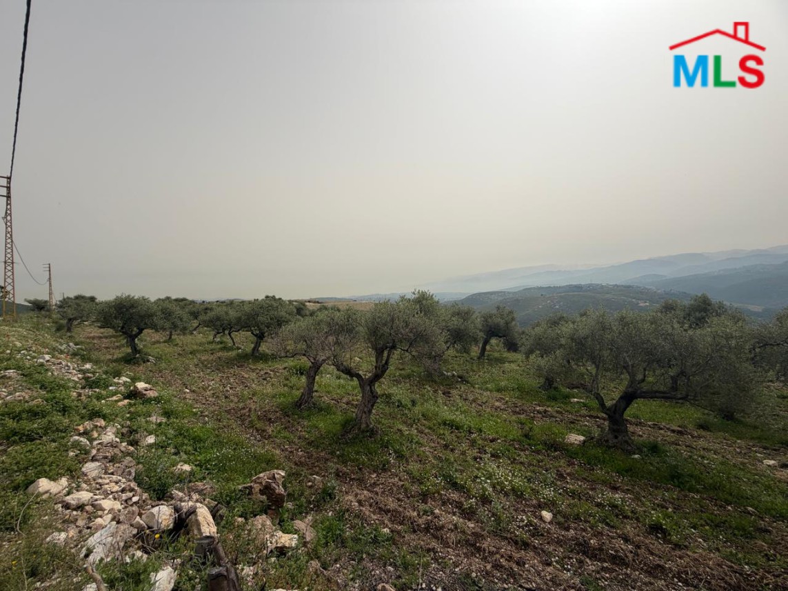 3,572 SQM Land with Mountain View For Sale in Bejdarfel, Batroun