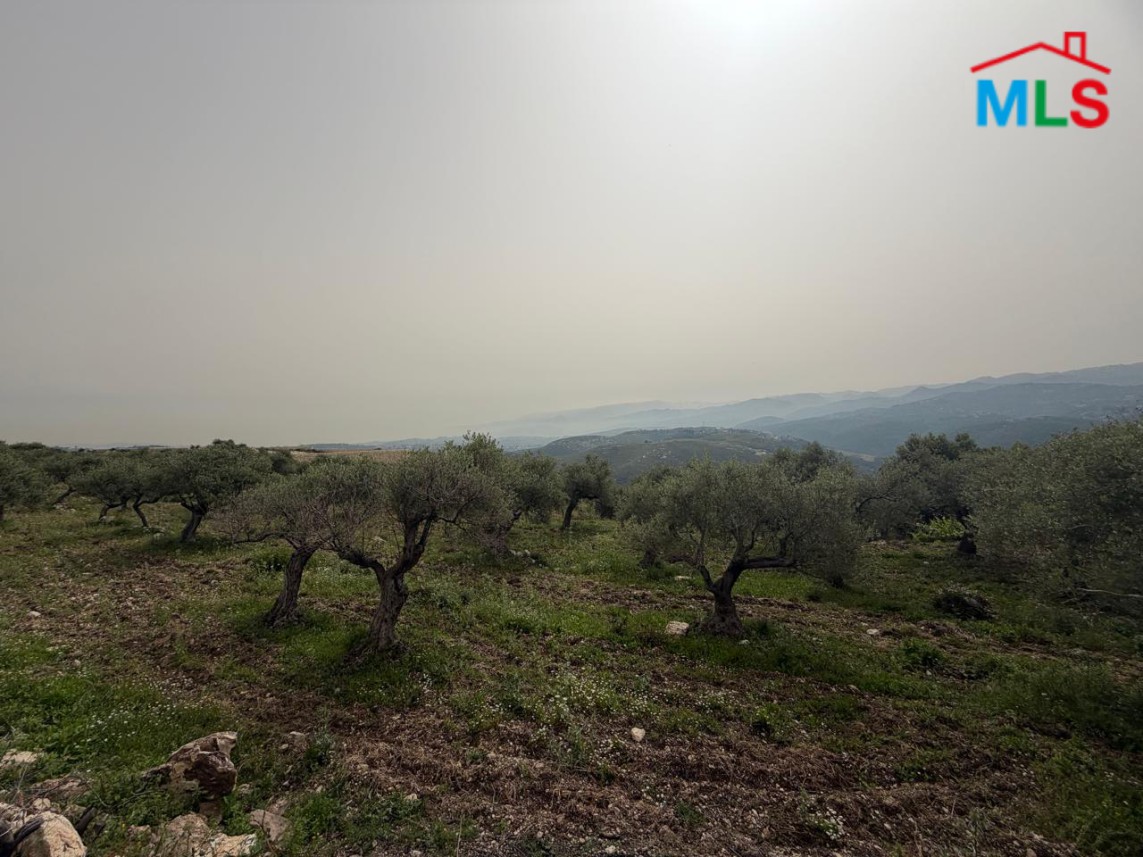 3,572 SQM Land with Mountain View For Sale in Bejdarfel, Batroun