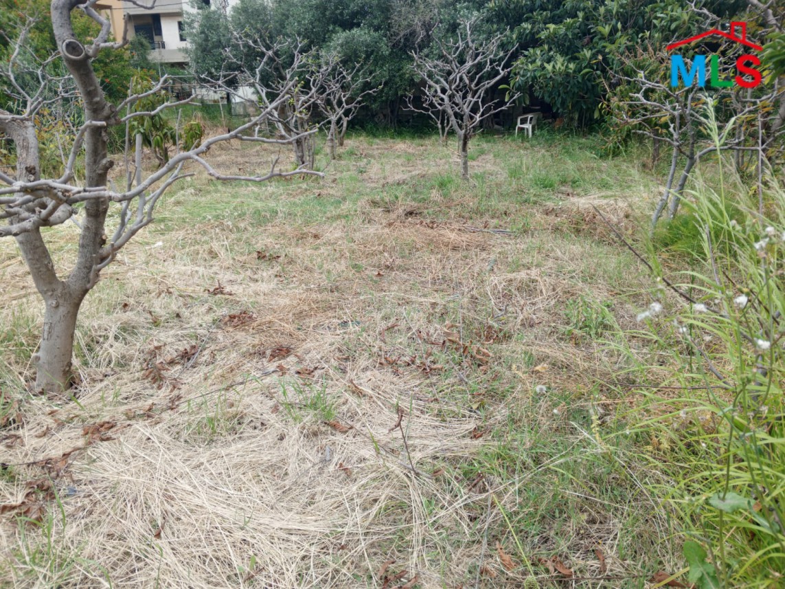 525 SQM Land with Flat Surface in Aamchit