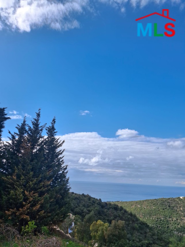 Traditional Lebanese House For Sale in Smar Jbeil, Batroun
