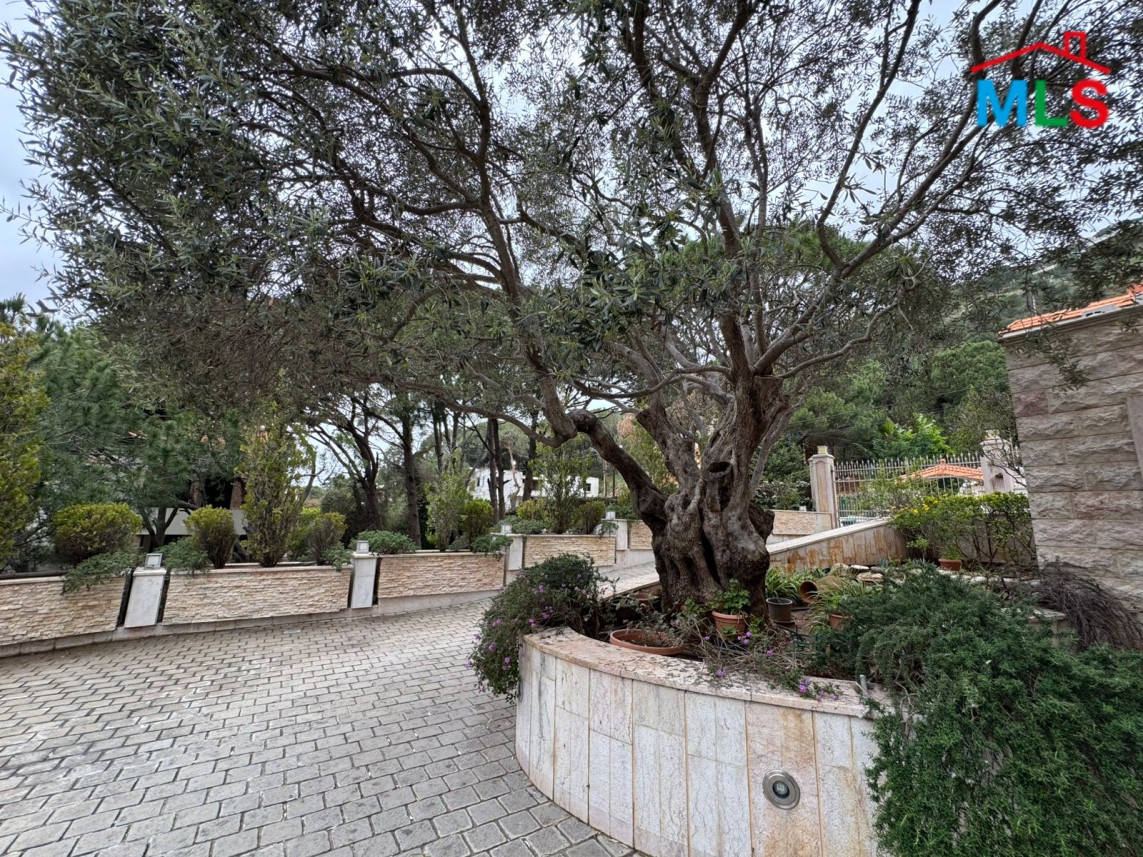 Luxurious Furnished Villa For Sale in A Prime Location in Monteverde
