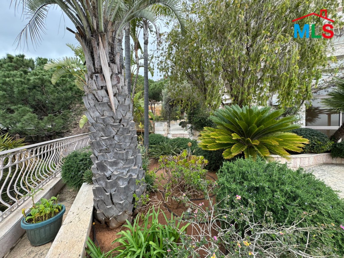 Luxurious Furnished Villa For Sale in A Prime Location in Monteverde