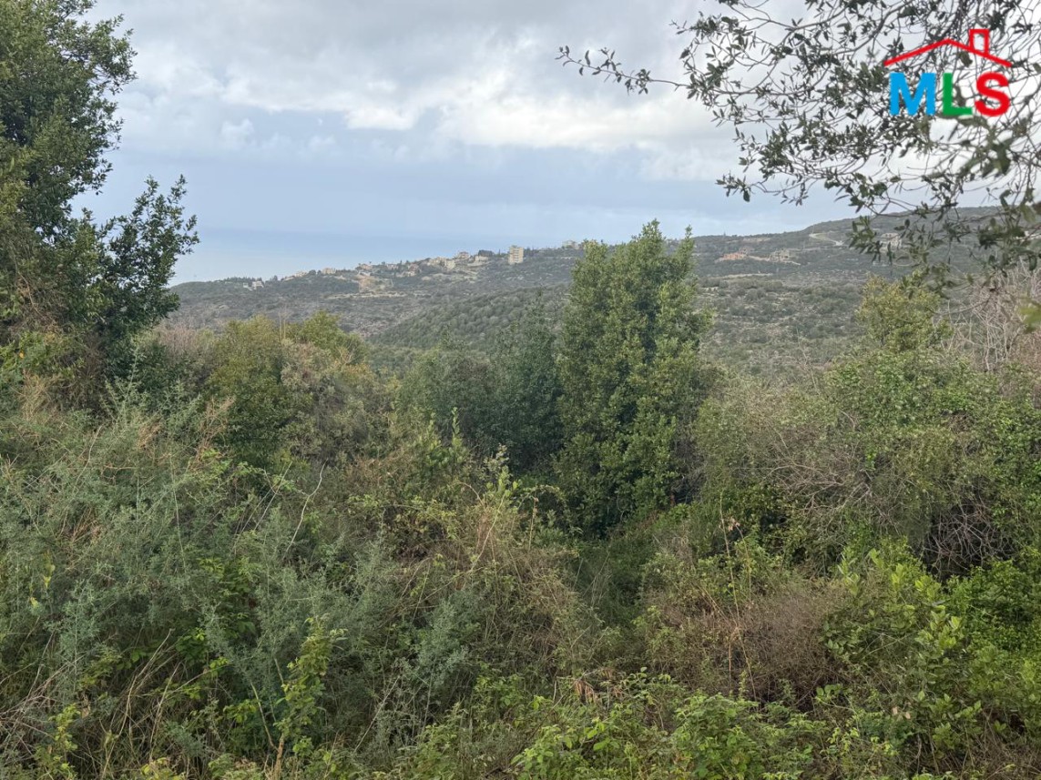 A 15,380 SQM Land For Sale In Monsef