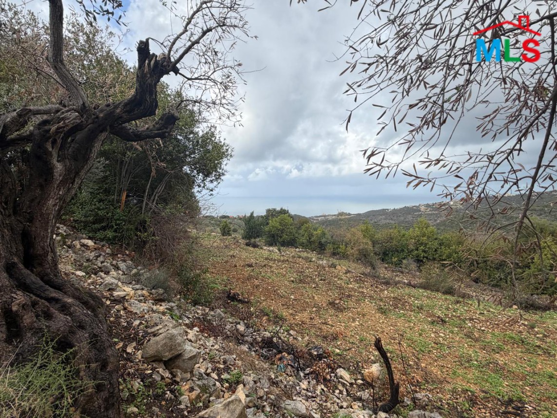 A 15,380 SQM Land For Sale In Monsef