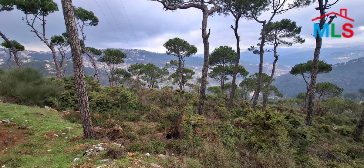 A 1,110 SQM Land For Sale in Bolonia