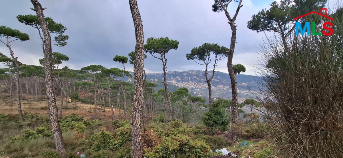 A 1,110 SQM Land For Sale in Bolonia