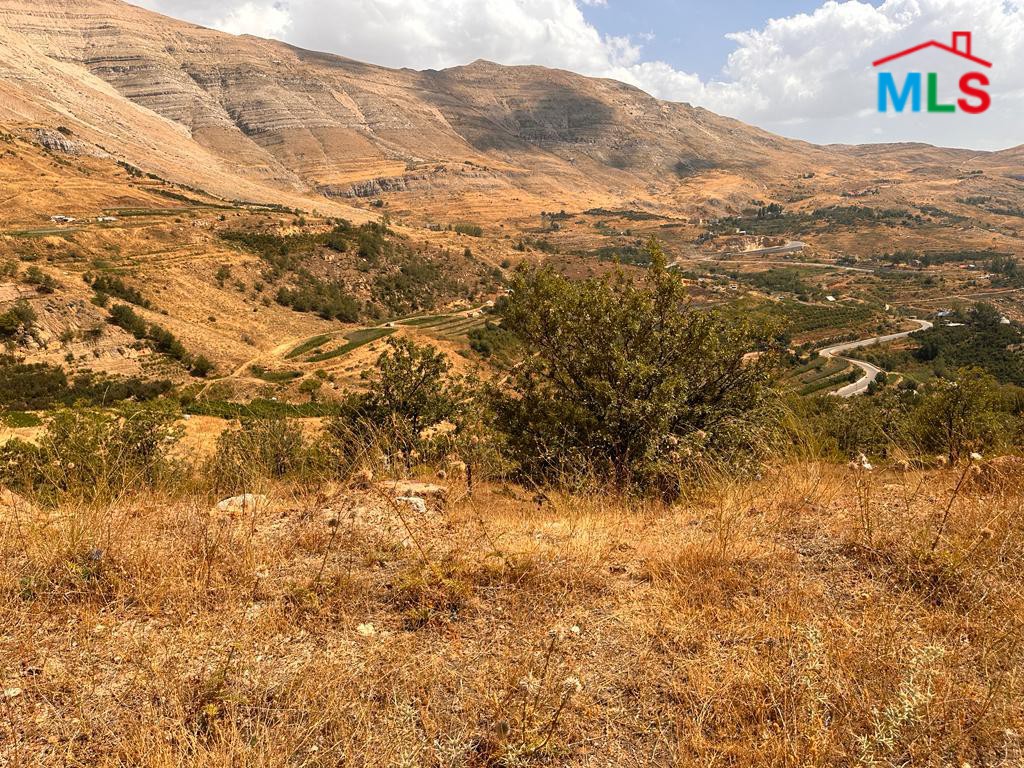 14,200 SQM Land For Sale in Baskinta, Sannine