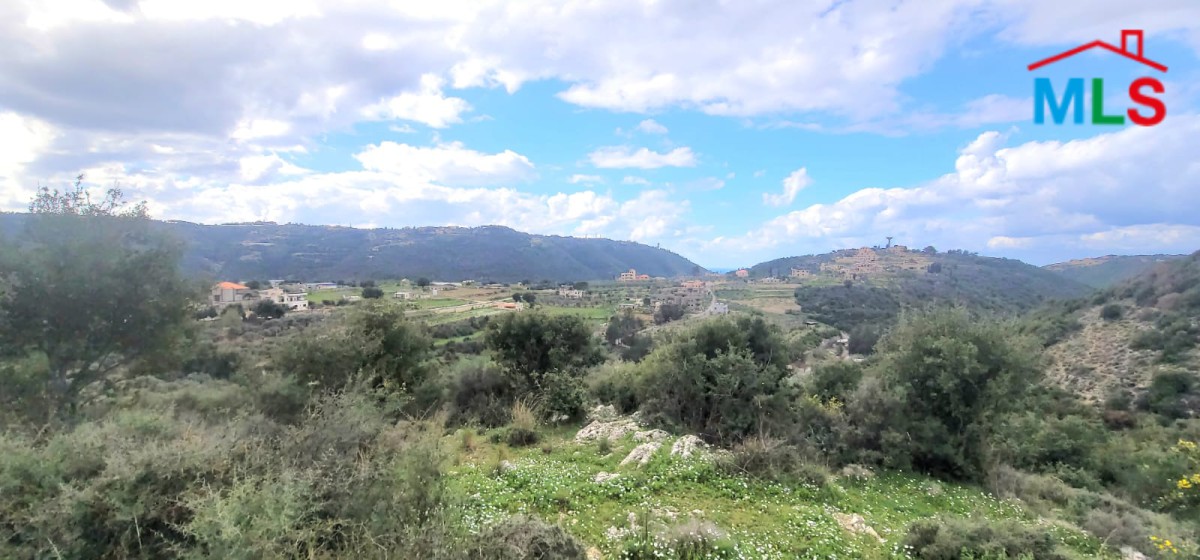 A 8,880 SQM Land For Sale in Sghar, Batroun