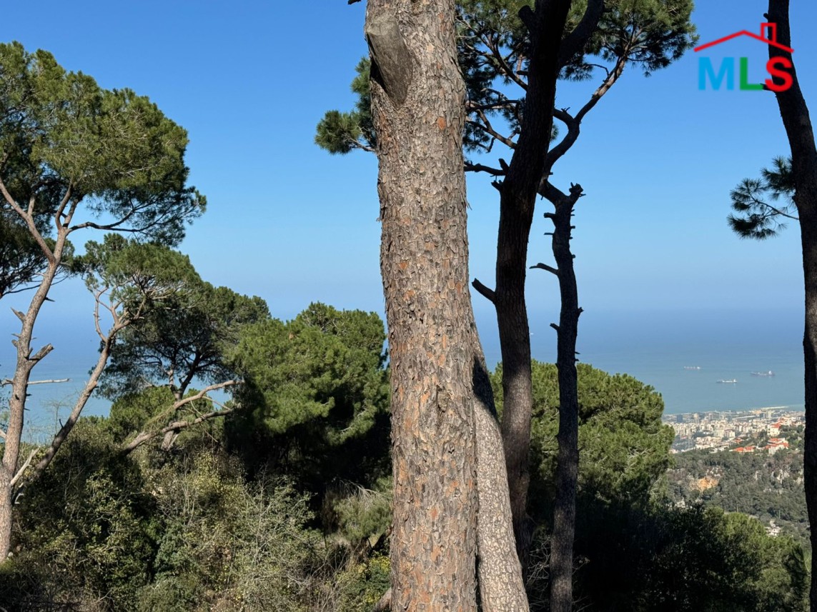 A 700 SQM Land With Sea And Mountain View For Sale in Broumana