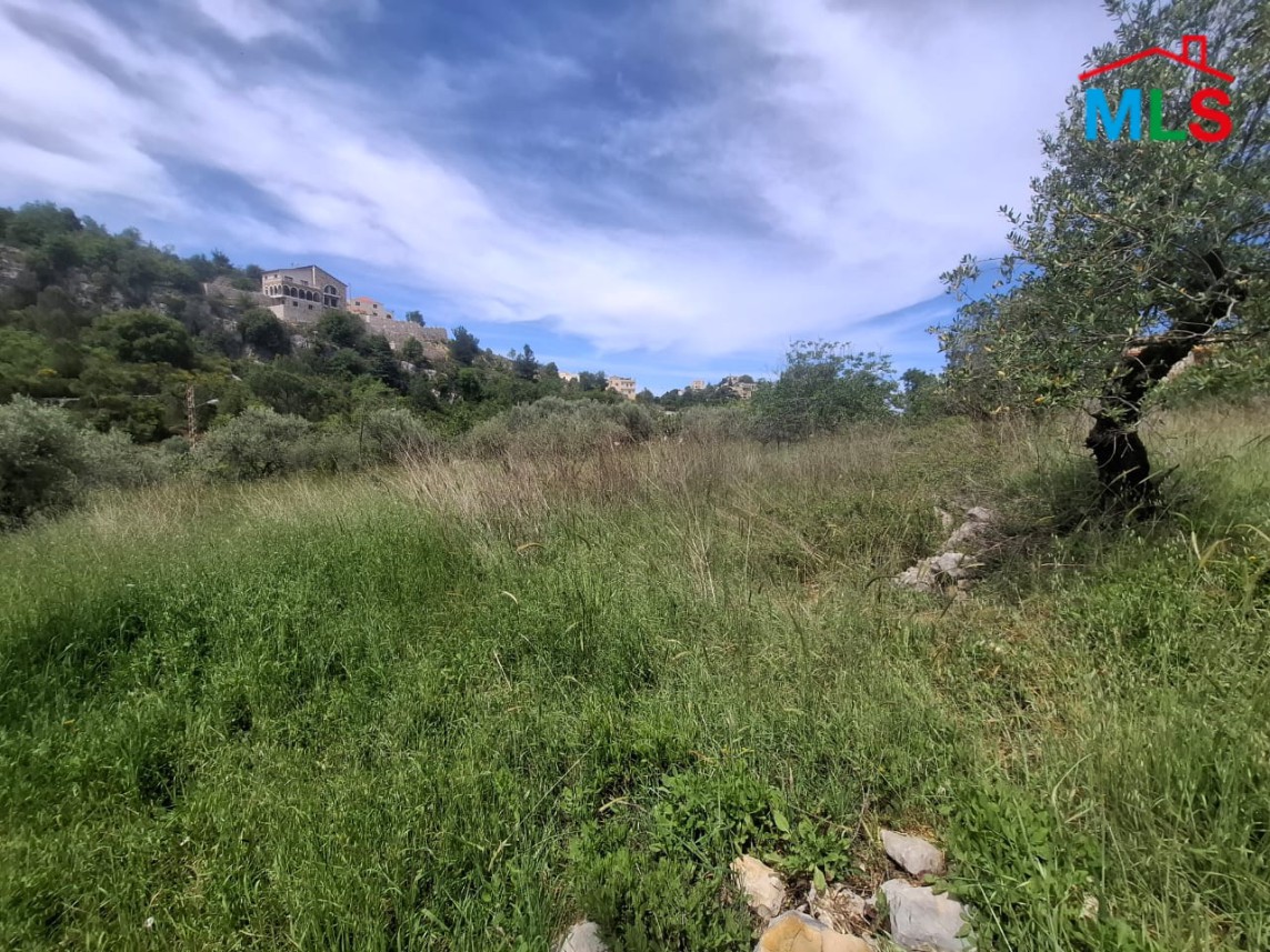Beautiful Land For Sale in Lehfed With Road Access