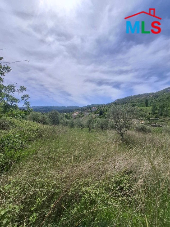 Beautiful Land For Sale in Lehfed With Road Access