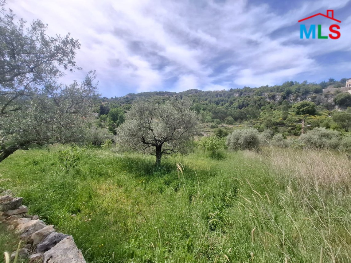 Beautiful Land For Sale in Lehfed With Road Access