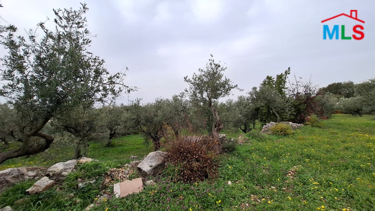 Beautiful Land For Sale in Monsef With No Slope