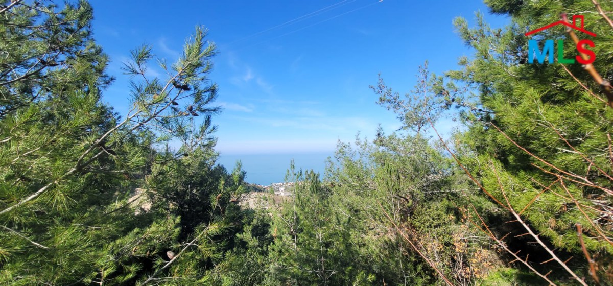 A 1,240 SQM Land For Sale in Maaysra