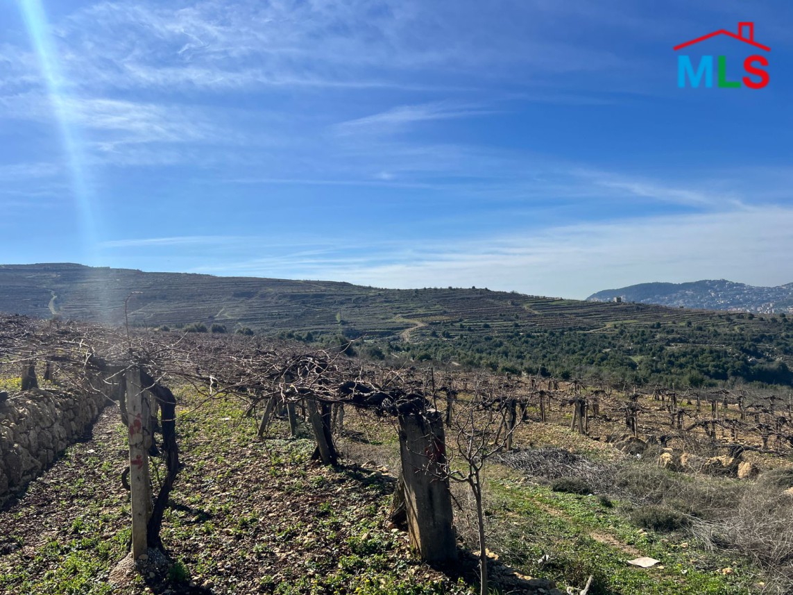 Land With Small House For Sale in Ain Al Marej, Bhamdoun