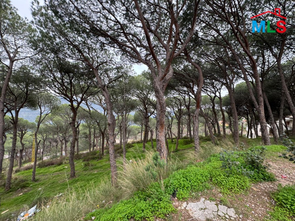 A 1,685 SQM Land For Sale in Broumana