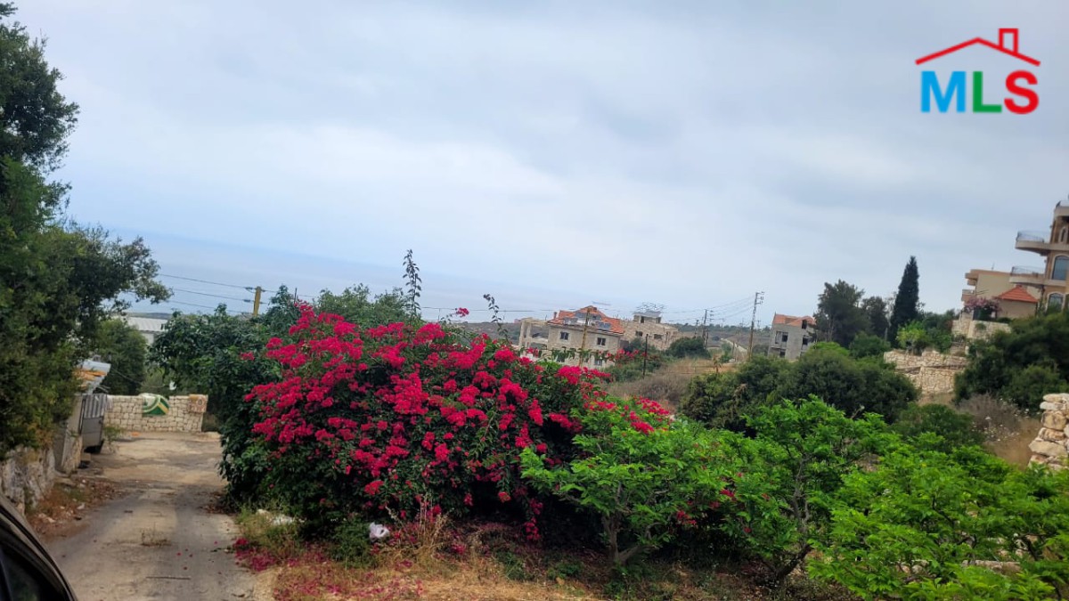 Spacious Land For Sale in A Prime Location in Berbara, Jbeil