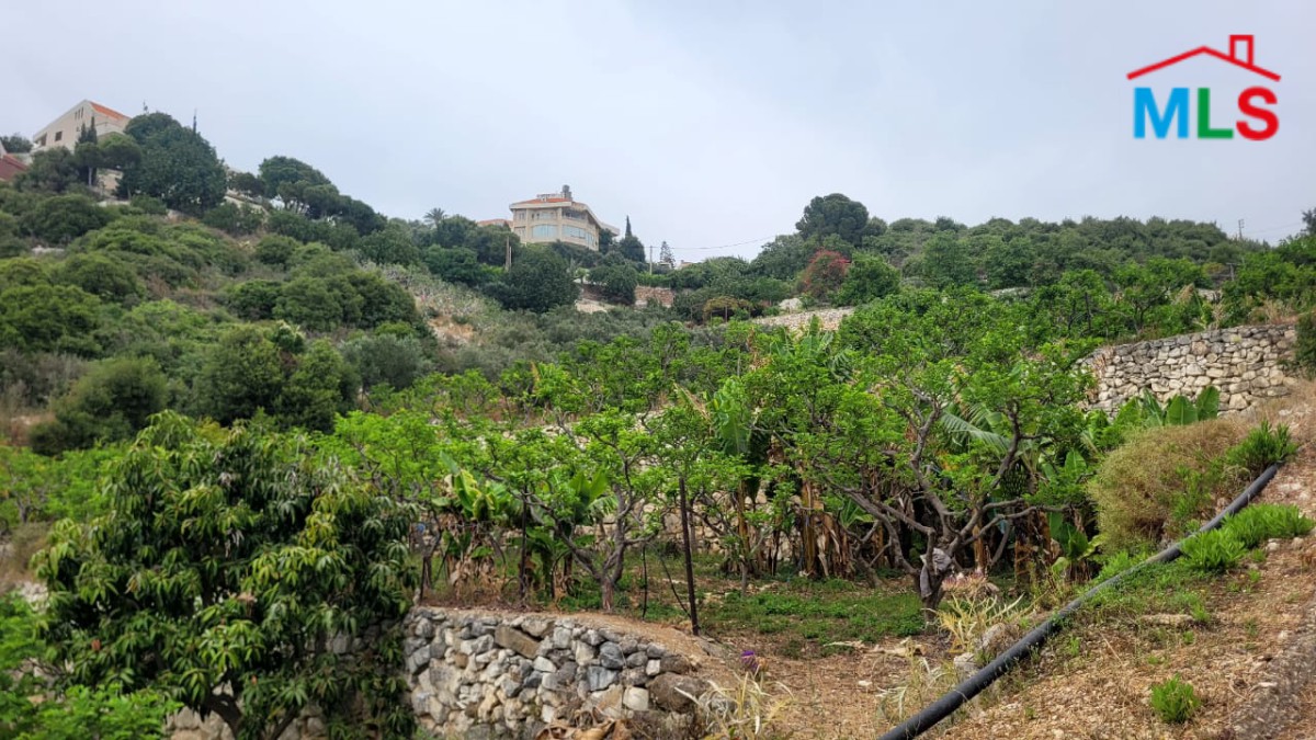 Spacious Land For Sale in A Prime Location in Berbara, Jbeil