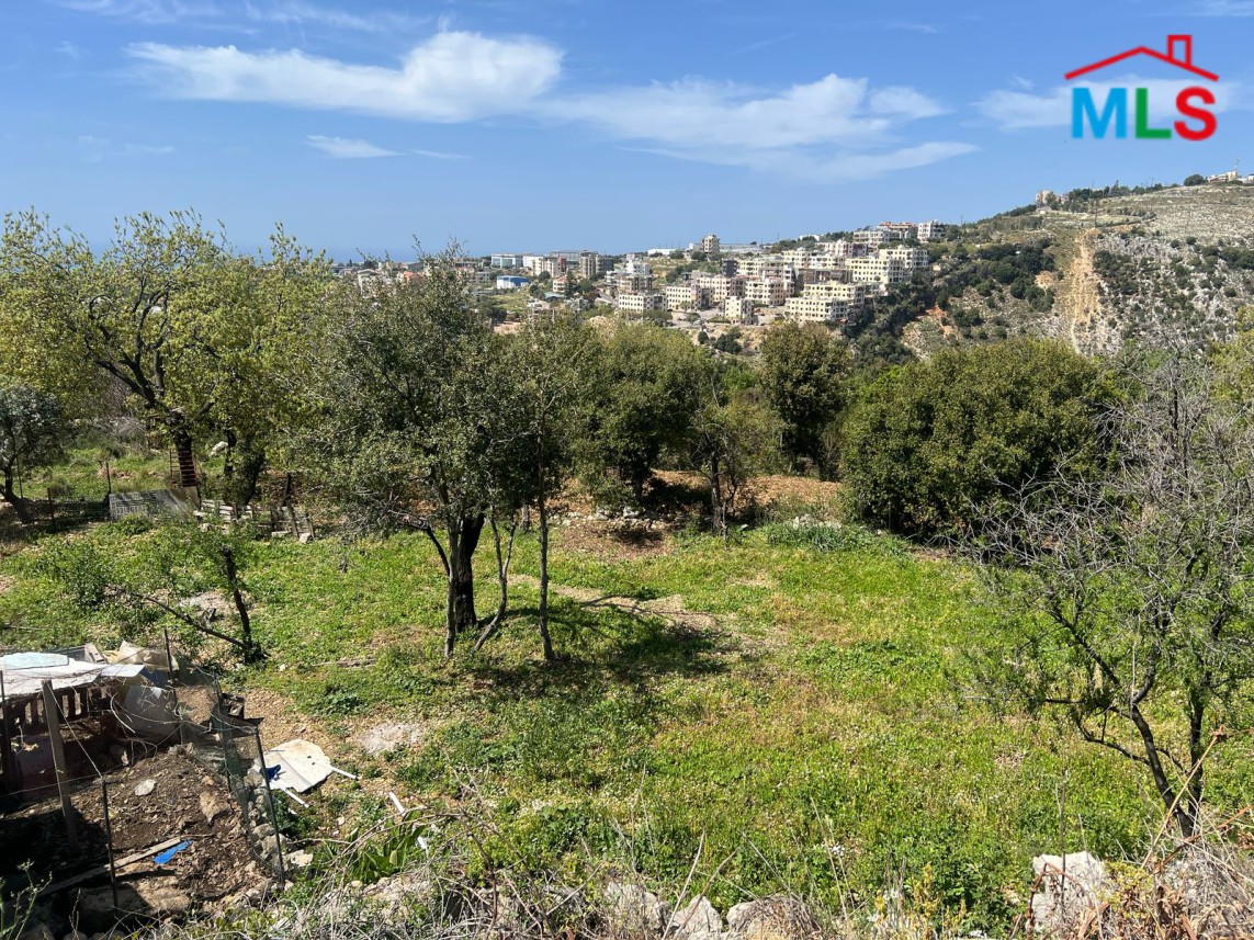 A 1,347 SQM Industrial Land For Sale in Gherfine