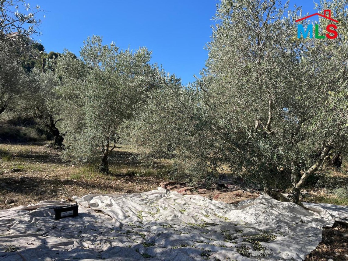 A 5,400 SQM Land For Sale in Bejje, Jbeil