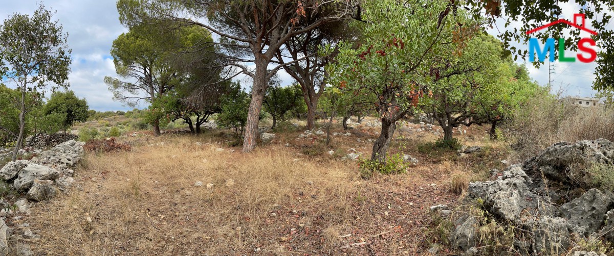 Beautiful Land For Sale in Chikhane, Jbeil