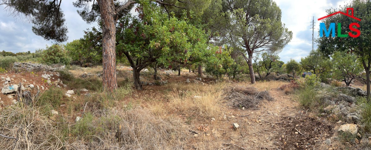 Beautiful Land For Sale in Chikhane, Jbeil