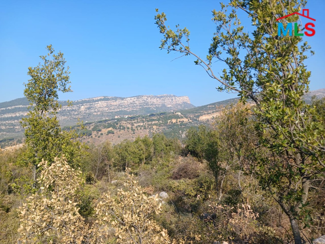 Prime Location! 1,290 SQM Land For Sale in Douma