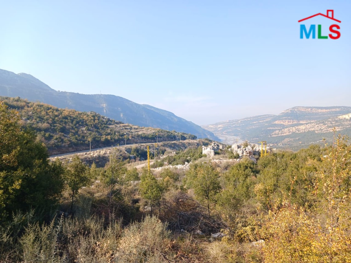Prime Location! 1,290 SQM Land For Sale in Douma