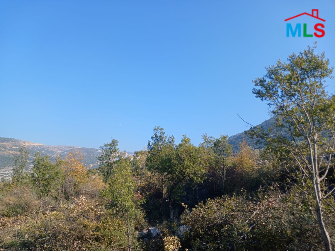 Prime Location! 1,290 SQM Land For Sale in Douma