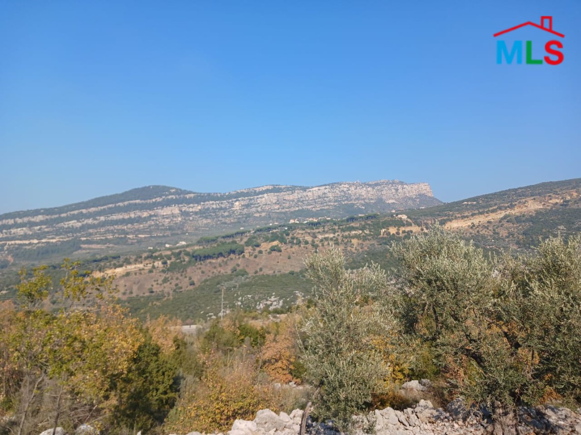 Prime Location! 1,290 SQM Land For Sale in Douma